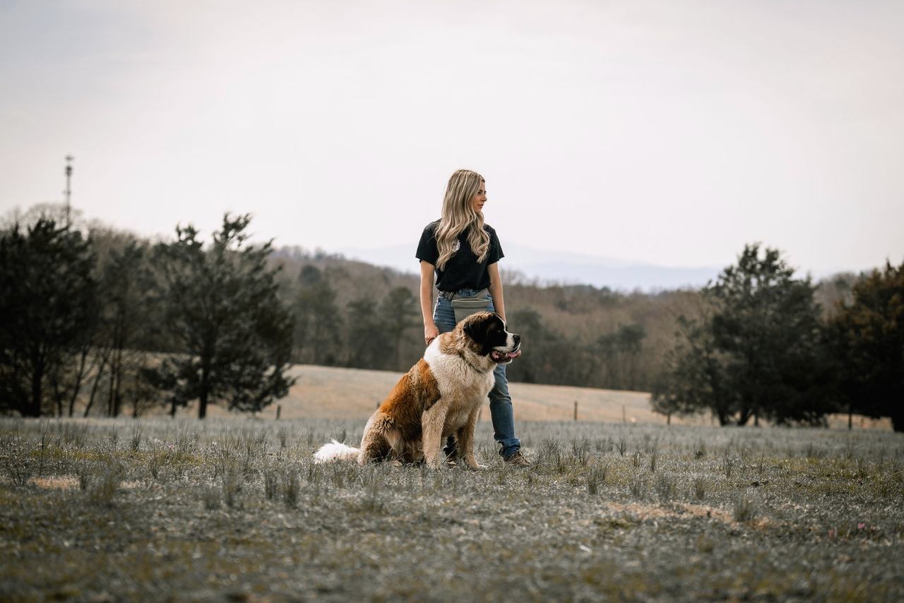 Wide view of a trainer and a seated Saint Bernard in an open hilltop field